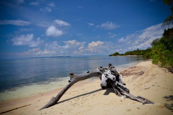 Plage déserte sur le chemin de Tanjung Keramat (Waleabahi, île Togian, Sulawesi Centre, Indonésie)