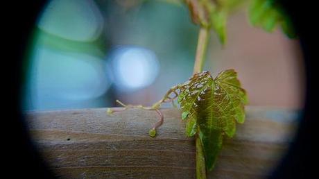 anteketborka.blogspot.com, et6