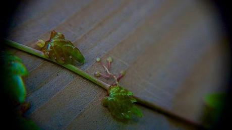 anteketborka.blogspot.com, et4