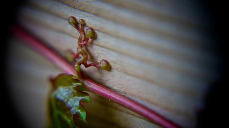 anteketborka.blogspot.com, et3