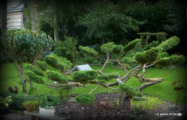 Me voilà repartie au jardin et comme bon nombre d'en...