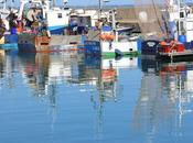 L’ancien phare Port Haliguen