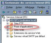 IIS, recyclage et pool d'applications en .NET