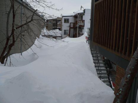Quand je vous disait qu'il y en a de la neige...