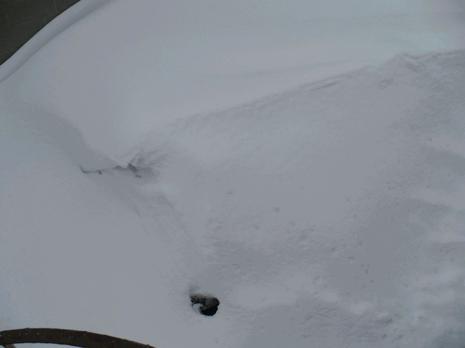 Quand je vous disait qu'il y en a de la neige...