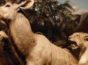 Interpol Love Admire