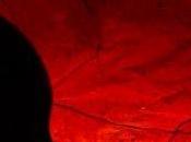 Niscintrìa 'llu focu