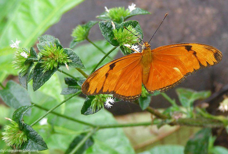 Rando les pieds dans l'eau ... et dans la boue !