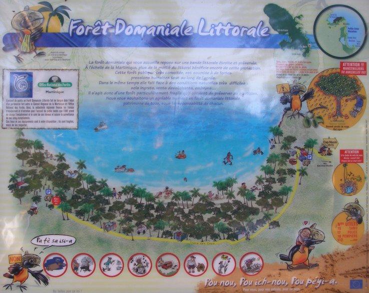 Je t'emmène à la plage ... mais avant, quelques conseils !