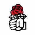 Congrès Parti Socialiste... blog militants