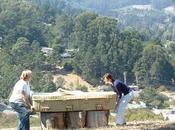 vert dans funérailles