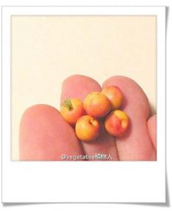 fruits en pâte polymère