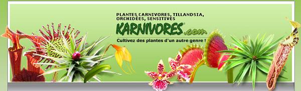 5€ de bon d’achat et frais de port offert sur Karnivores.com