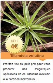 5€ de bon d’achat et frais de port offert sur Karnivores.com