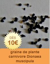 5€ de bon d’achat et frais de port offert sur Karnivores.com