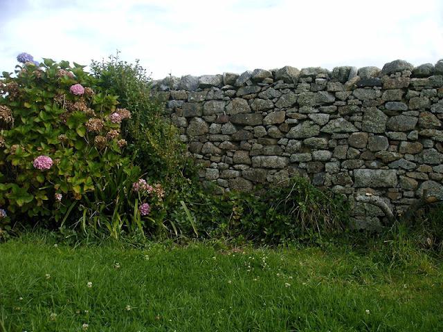 parfois je lisais ainsi le paysage