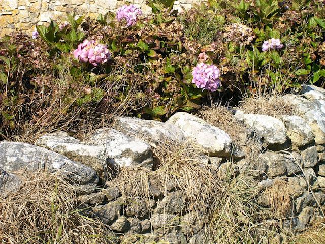parfois je lisais ainsi le paysage