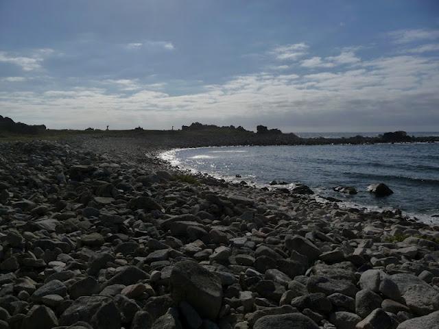 parfois je lisais ainsi le paysage