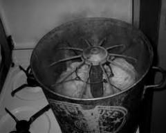 souvenirs,nouvelles et textes brefs,écriture,livre