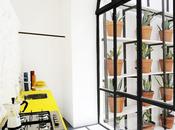 Cuisine jaune verrière