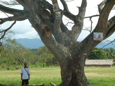 P1080385- Un périple autour du monde. Législatives exotiques