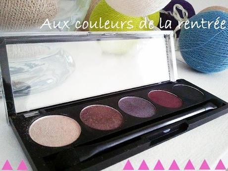 Ma nouvelle palette, parée pour l'automne !