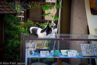 Photos de la faune japonaise dans les parcs