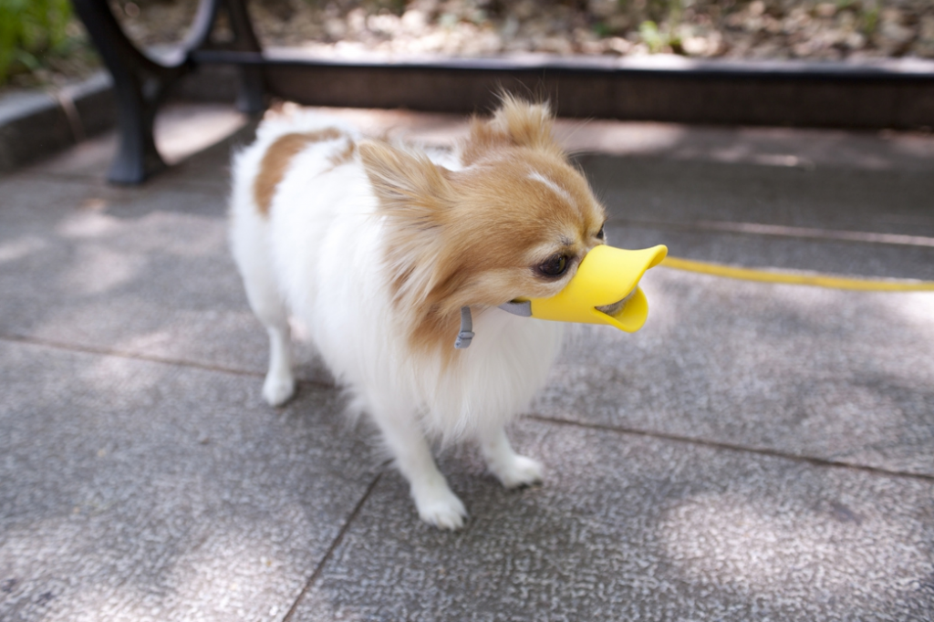 Oppo  Japan-  Muselières design pour Chiens