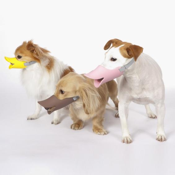 Oppo  Japan-  Muselières design pour Chiens