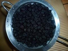 souvenirs,automne,écriture,livre,nouvelles et textes brefs