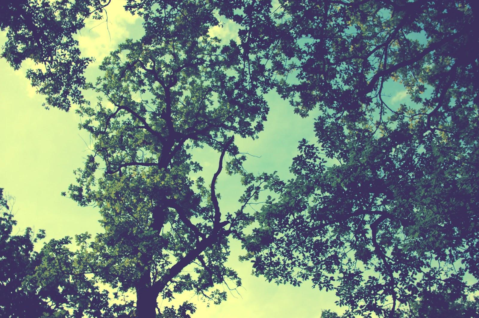 Mon petit fourbi ☆ Instalife #2 ☆