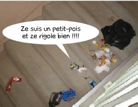 poubelle,faire tomber,recyclage,le shaker de cyril,tôt le matin