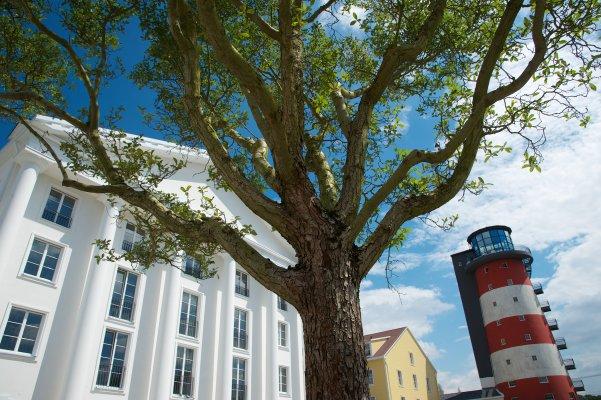 Rundgang mit dem Chef der Europa-Park-Gaertnerei, Juergen Sedler