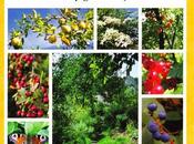 Transformez votre jardin forêt gourmandises avec livre Patrick Whitefield paru éditions Imagine colibri