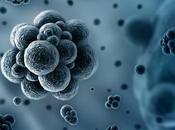 Petit mais costaud...!