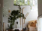 Plante grimpante dans salon