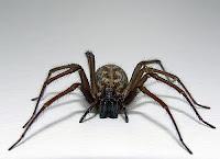 Dépanner en restant zen