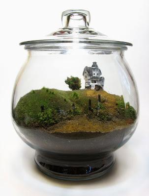 Terrariums de rêve