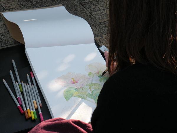 Japon_Kyoto_2009_1381