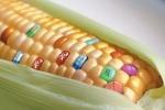 Les OGM, 