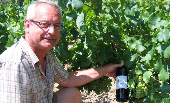 Vignoble Mas de La Dame Baux de Provence Caractère Original Escapades sur les routes des vins de France 