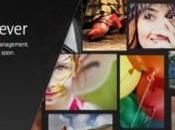 Site Canon lance projet 1709