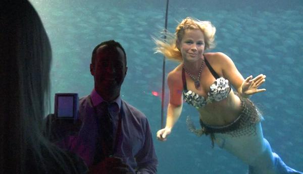 Un aquarium propose un show avec de vraies sirènes