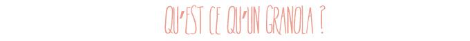Mon Granola maison aux fruits rouges