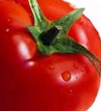 Vous êtes plutôt fruit ou plutôt légume ?