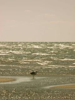 Au milieu de nulle part