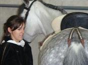 Saint sebastien coallition contre arret corridas