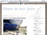 Ecume de mes jours