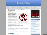 BlogExperience