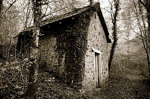 automne-cabane.jpg